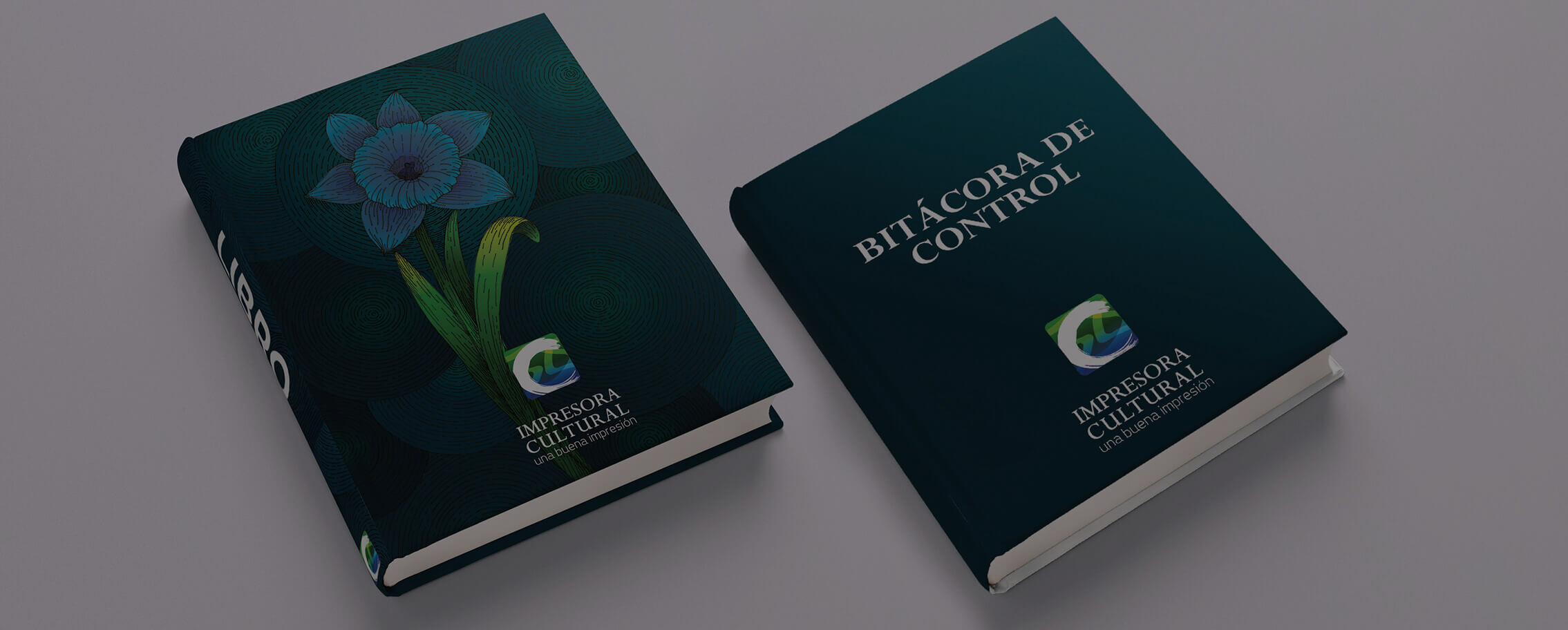 imprenta digital en Toluca y Metepec